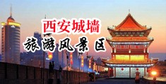 鸡巴操我在线观看中国陕西-西安城墙旅游风景区